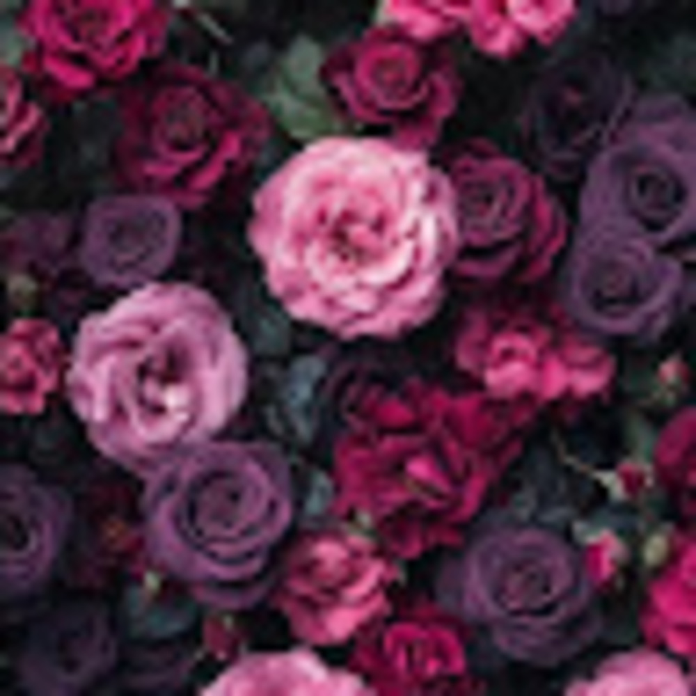 Meet your Posher, Naomi rosalie